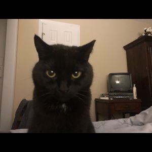 Meet your Posher, Jessica